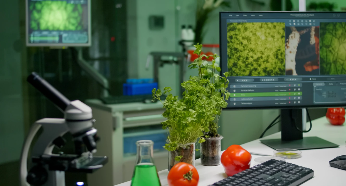 Screenshot 2022-08-25 162507